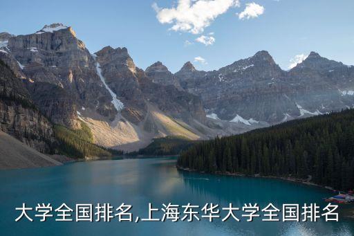 大学全国排名,上海东华大学全国排名
