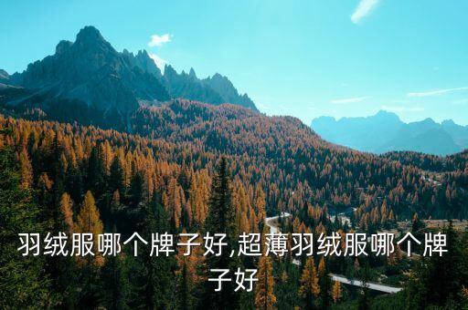 羽绒服哪个牌子好,超薄羽绒服哪个牌子好