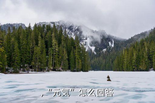 ,“元気”怎么回答