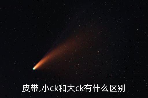 ck皮带,小ck和大ck有什么区别?