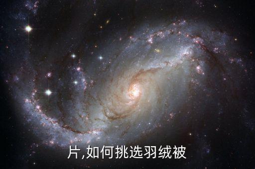 片,如何挑选羽绒被