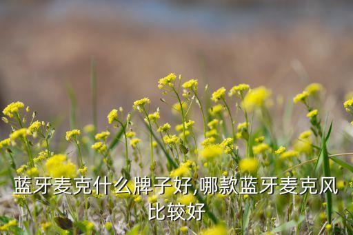 无线蓝牙麦克什么牌子好,哪款蓝牙麦克风比较好?