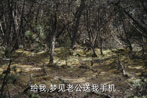 给我,梦见老公送我手机