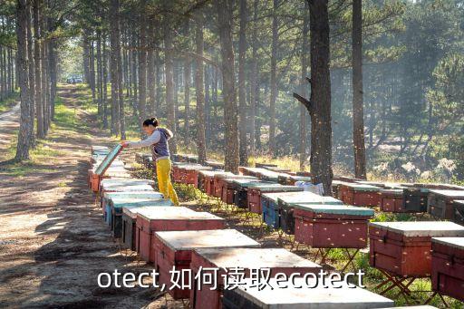 otect,如何读取ecotect