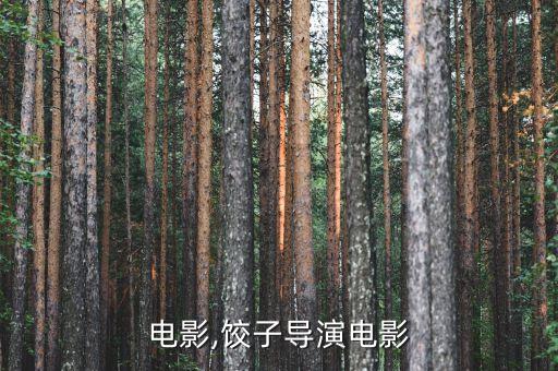 导演电影,饺子导演电影