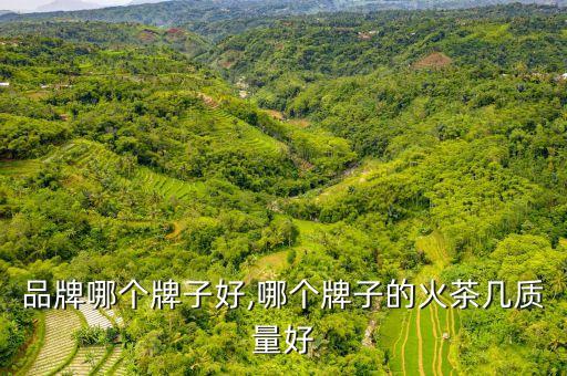 茶几品牌哪个牌子好,哪个牌子的火茶几质量好?