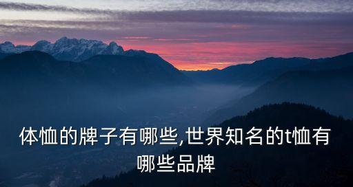 街舞体恤的牌子有哪些,世界知名的t恤有哪些品牌?