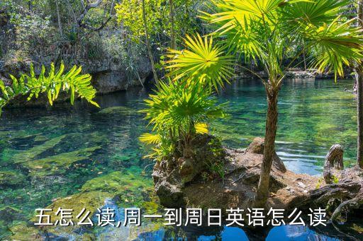 五怎么读,周一到周日英语怎么读