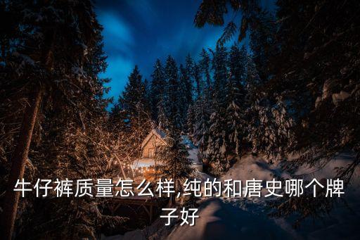 唐狮牛仔裤质量怎么样,纯的和唐史哪个牌子好??