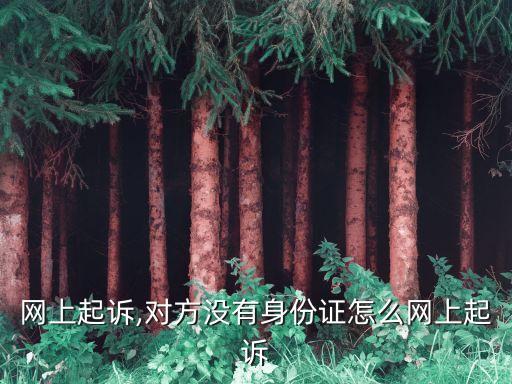 怎么网上起诉,对方没有身份证怎么网上起诉