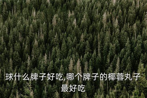 球什么牌子好吃,哪个牌子的椰蓉丸子最好吃