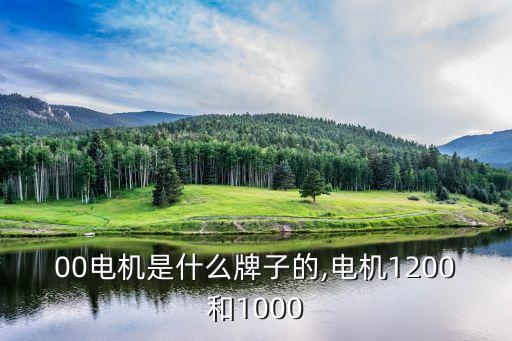 1200电机是什么牌子的,电机1200和1000