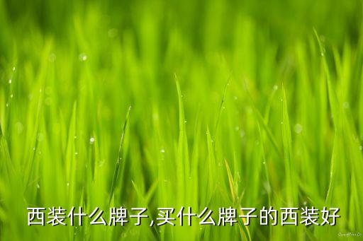  西装什么牌子,买什么牌子的西装好