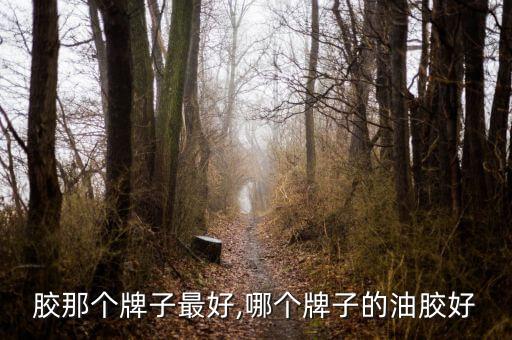 胶那个牌子最好,哪个牌子的油胶好