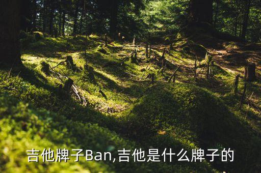 吉他牌子Ban,吉他是什么牌子的