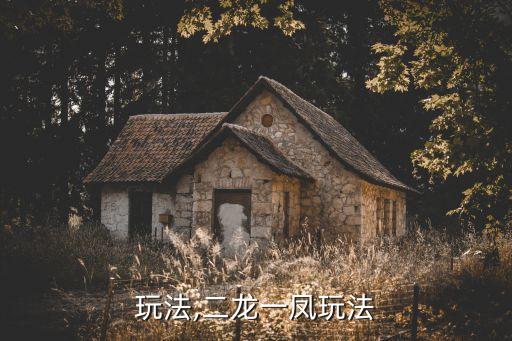 3p玩法,二龙一凤玩法