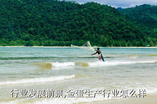 行业发展前景,金蛋生产行业怎么样