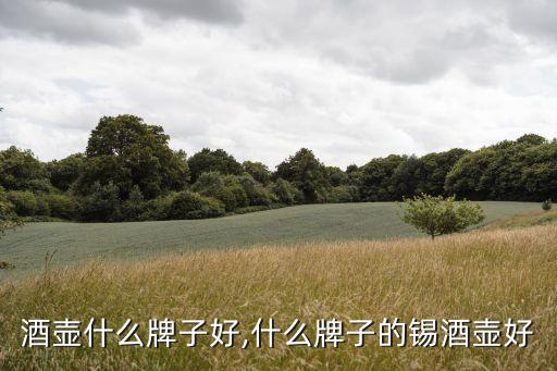 酒壶什么牌子好,什么牌子的锡酒壶好