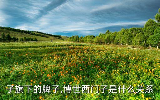 子旗下的牌子,博世西门子是什么关系