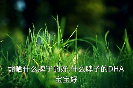 翻晒什么牌子的好,什么牌子的DHA宝宝好