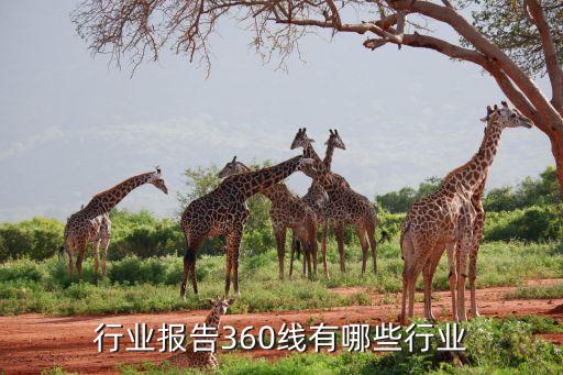 行业报告360线有哪些行业