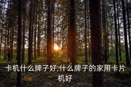 卡机什么牌子好,什么牌子的家用卡片机好