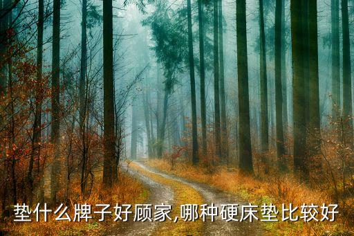 硬床垫什么牌子好顾家,哪种硬床垫比较好?