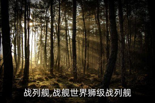 战列舰,战舰世界狮级战列舰