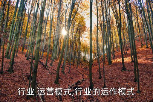 行业 运营模式,行业的运作模式