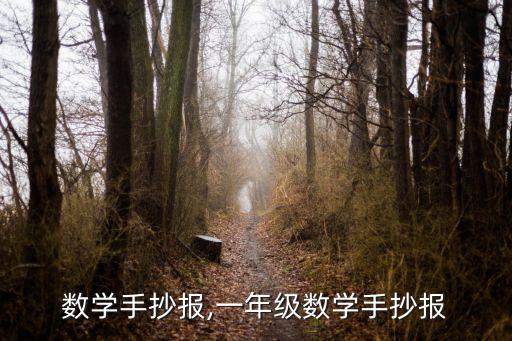 初中数学手抄报,一年级数学手抄报