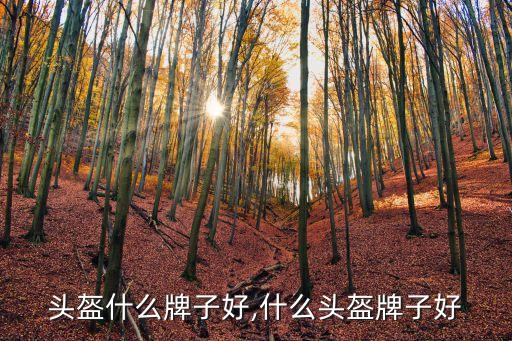 摩托头盔什么牌子好,什么头盔牌子好?