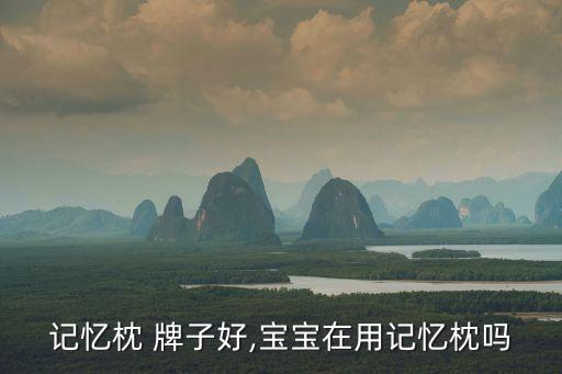 宝宝记忆枕 牌子好,宝宝在用记忆枕吗?