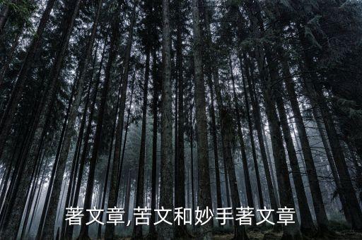 妙手著文章,苦文和妙手著文章