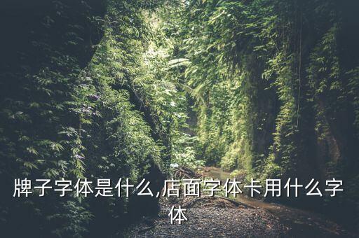 商店牌子字体是什么,店面字体卡用什么字体?