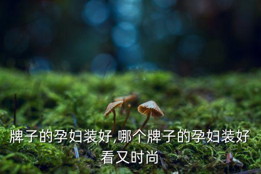 什么牌子的孕妇装好,哪个牌子的孕妇装好看又时尚?