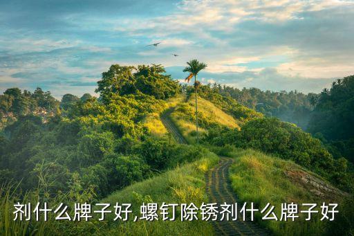 除锈剂什么牌子好,螺钉除锈剂什么牌子好