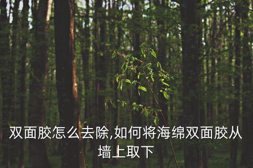 海绵双面胶怎么去除,如何将海绵双面胶从墙上取下?