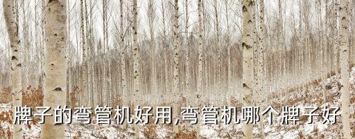 牌子的弯管机好用,弯管机哪个牌子好