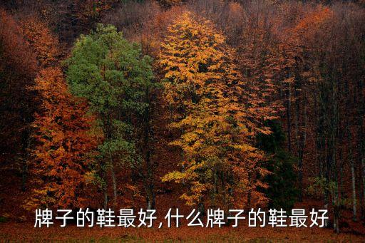 什麽牌子的鞋最好,什么牌子的鞋最好?