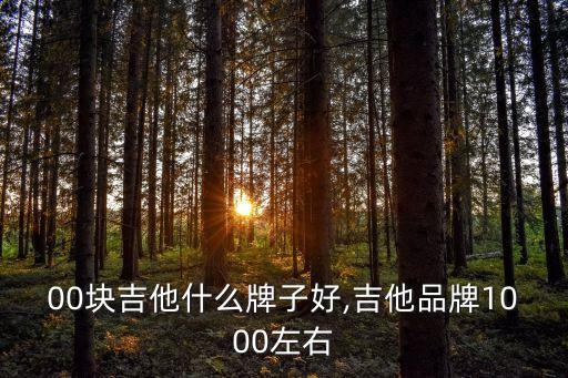 00块吉他什么牌子好,吉他品牌1000左右