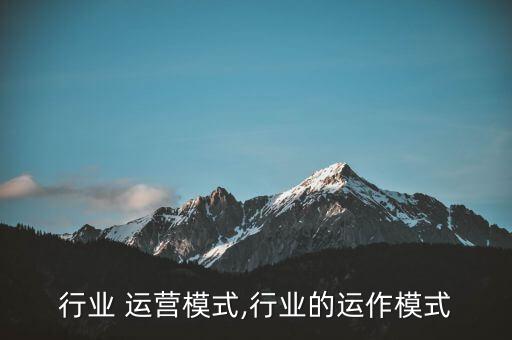传统行业 运营模式,行业的运作模式