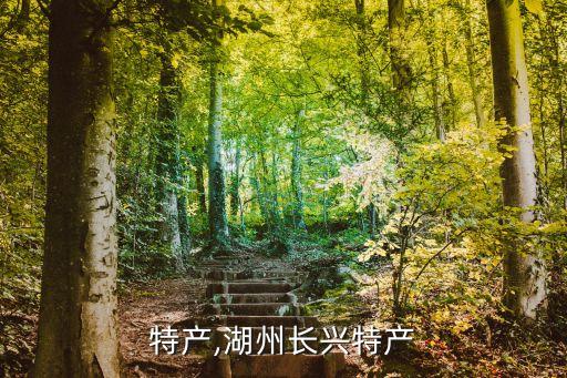 长兴特产,湖州长兴特产