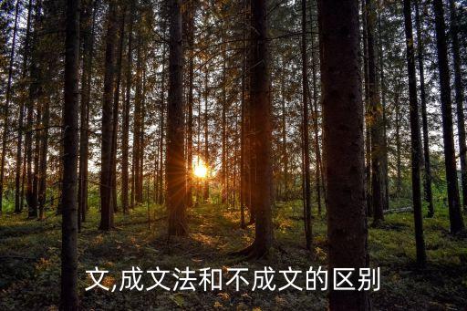 不成文,成文法和不成文的区别