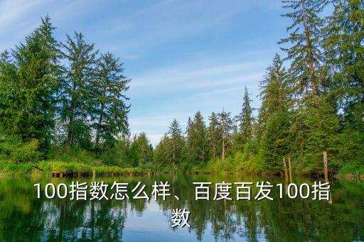 百发100指数怎么样、百度百发100指数