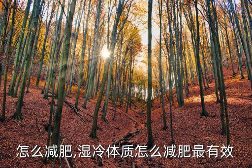 寒湿怎么减肥,湿冷体质怎么减肥最有效?