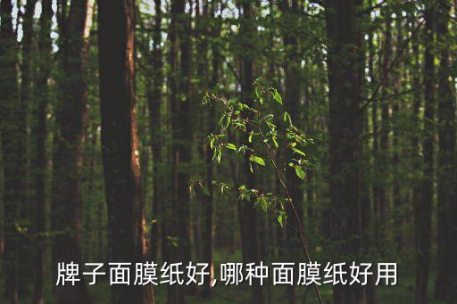 牌子面膜纸好,哪种面膜纸好用