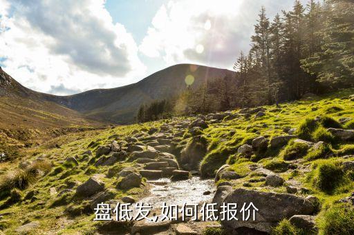 怎么盘低发,如何低报价