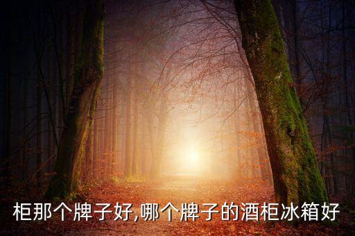 柜那个牌子好,哪个牌子的酒柜冰箱好