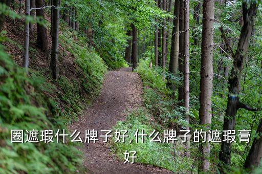 黑眼圈遮瑕什么牌子好,什么牌子的遮瑕膏好?