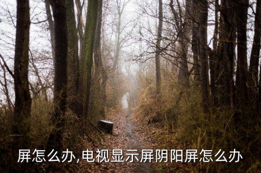阴阳屏怎么办,电视显示屏阴阳屏怎么办